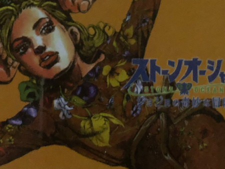 Anime JoJo s Bizarre Adventure: Stone Ocean Double Sided Plastic Card Sale