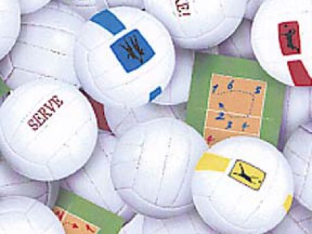 Volleyball Sports Collection Fabric by the yard For Sale