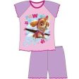 Paw Patrol Skye Summer Pajamas For Sale