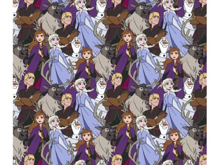 Disney Frozen 2 Friends Forever Fabric by the yard Supply