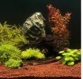 10 l, Natural substrate for freshwater aquariums on Sale