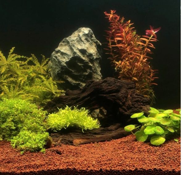 10 l, Natural substrate for freshwater aquariums on Sale