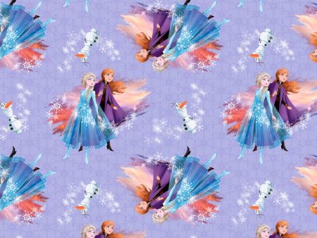 Disney Frozen Destiny Awaits Fabric by the yard Online Hot Sale