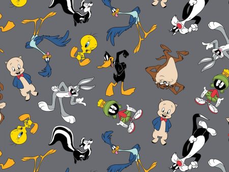 Warner Brothers Looney Tunes characters Fabric by the yard Online now